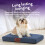 Slumberdown (Navy, Small) Orthopaedic Pet Bed 6