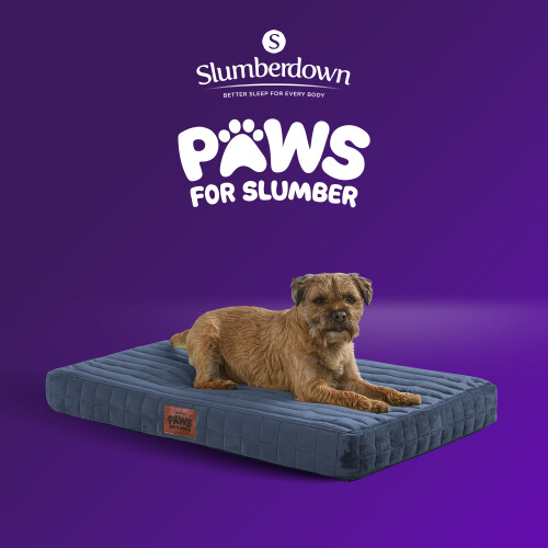 Slumberdown (Navy, Medium) Orthopaedic Pet Bed 2