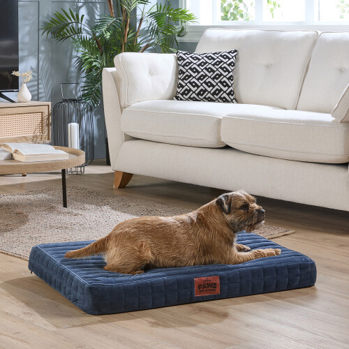 Slumberdown (Navy, Medium) Orthopaedic Pet Bed