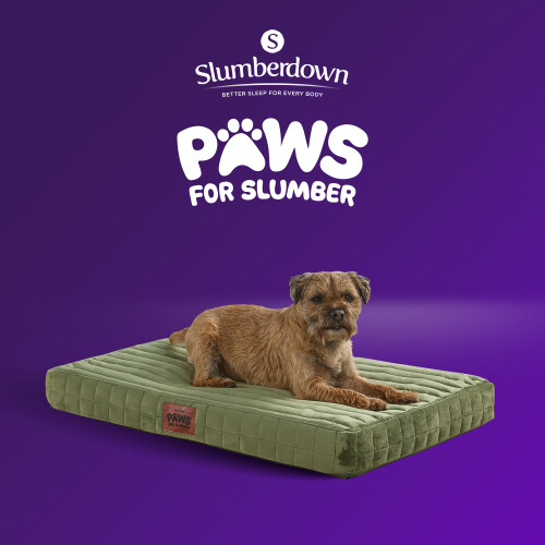 Slumberdown (Green, Medium) Orthopaedic Pet Bed