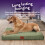 Slumberdown (Green, Large) Orthopaedic Pet Bed 6