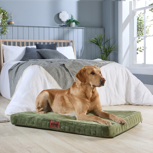 Slumberdown (Green, Large) Orthopaedic Pet Bed