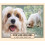 Cavachon Personalised Dog Breed Mouse Mat Gift 2