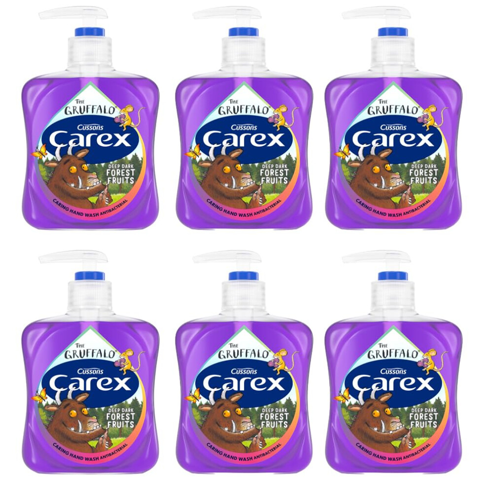 Carex Gruffalo Deep Dark Forest Fruits Antibacterial Hand Wash 6x250ml