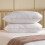 Slumberdown (2 Pack) Slumberdown Comfy Cotton Pillow 11