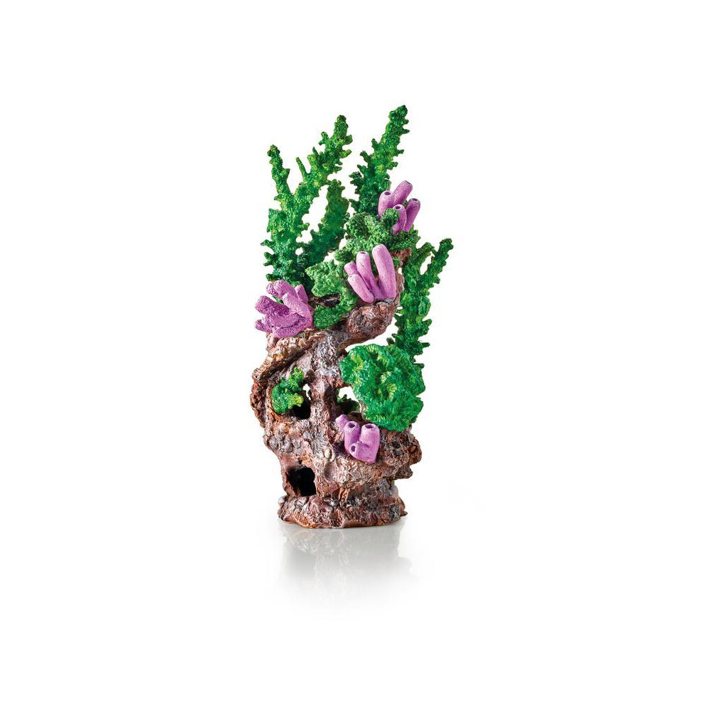 Oase Biorb Coral Reef Ornament, Green