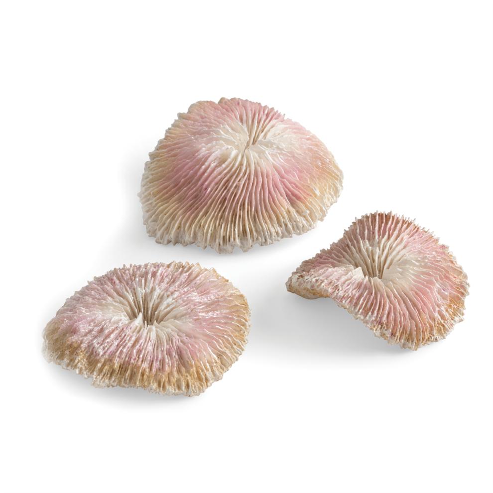 Biorb Oase Plate Set Of 3 Fish Tank Ornament Aquarium Decorations Coral