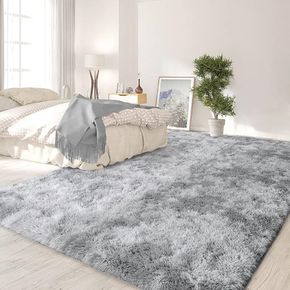 (120cm x 170cm (4ft x 5ft 8")- Area Rug) Non Slip Rugs Fluffy Shaggy Silver Rug Runner Mat