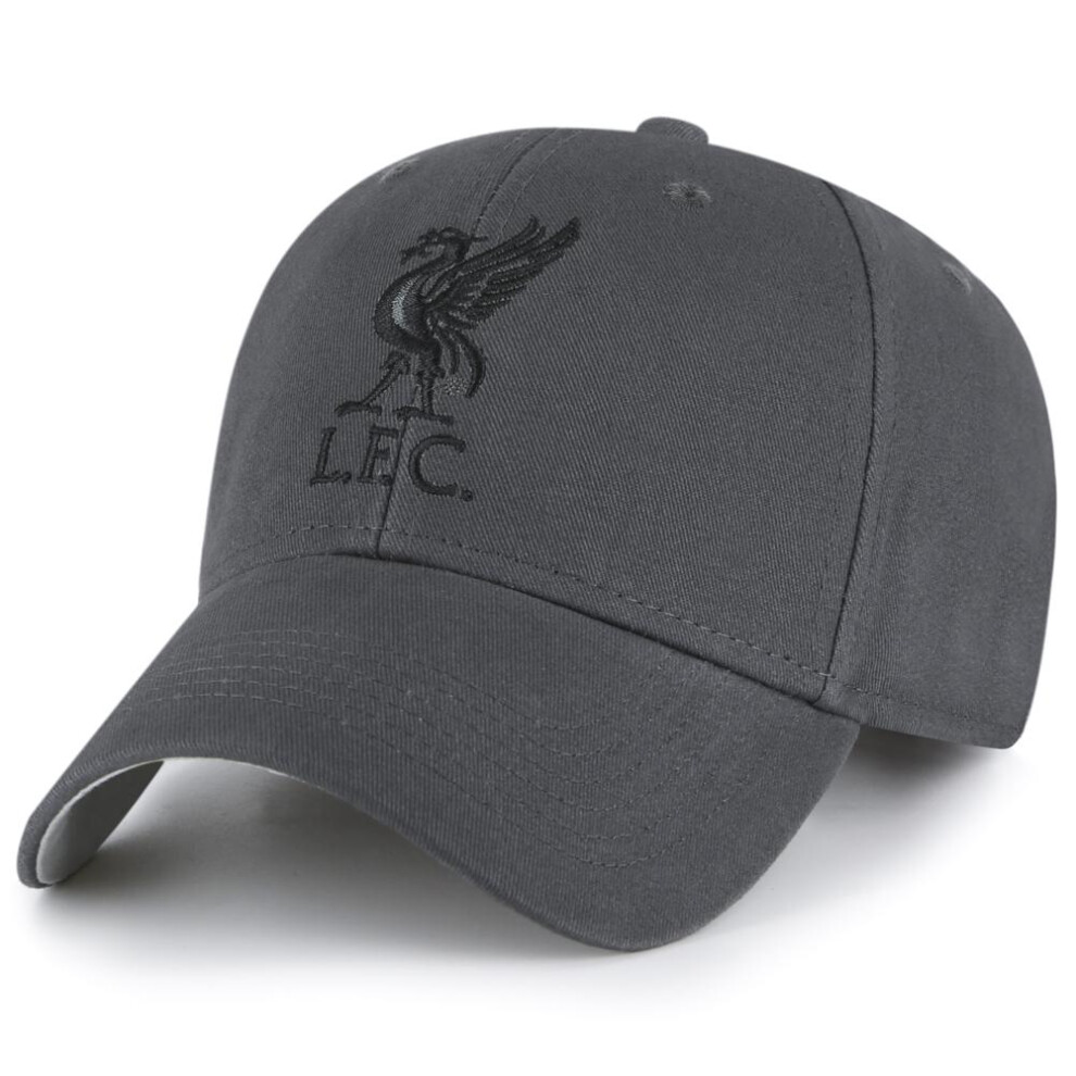 Liverpool FC Adult Grey Charcoal Embroidered Crest Baseball Cap