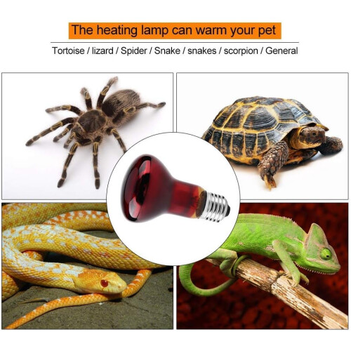 Durable Infrared Ceramic Heating Lamp Bulb For Reptile Pet Power (100W) 2