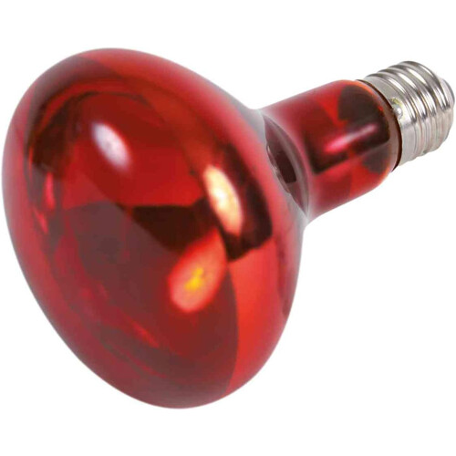 Infrared Spot Lamp 95 ¡Á 130 mm 150 W 1