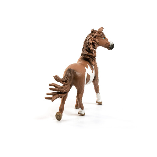 Schleich Schleich Farm World, Ρεαλιστικά Ζωάκια για Αγόρια και Κορίτσια, Pinto Stallion, 3+ Ετών 2
