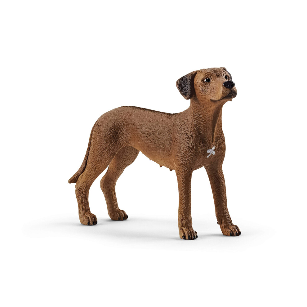 Schleich Farm World, Animal Toys for Kids, Rhodesian Ridgeback Figurine, Ages 3+