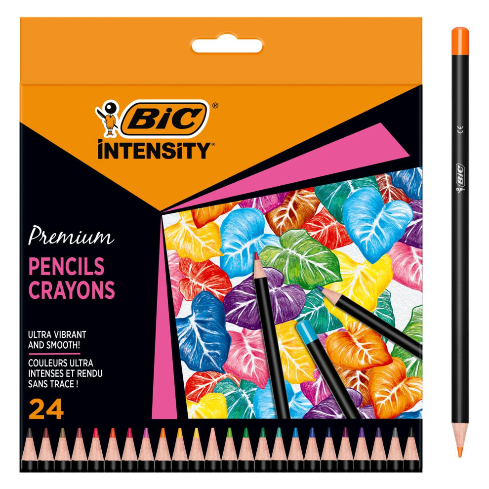 BIc Intensity colouring Pencils In Premium cardboard case Suitable For Adults, Assorted colours, Pack of 24