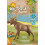 PLAYMOBIL Playmobil Wiltopia Ελάφι Ζώο 4