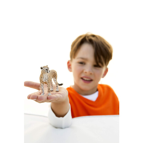Schleich Schleich Wild Life, Φιγούρα Ζώου, Παιχνίδια Ζώων για 3-8 ετών, Θηλυκή Τσιτάχ, Από 3+ 1