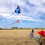 Kite Butterfly (azul) 4