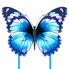 Kite Butterfly (azul)