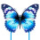 Kite Butterfly (azul) 1