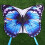 Kite Butterfly (azul) 3