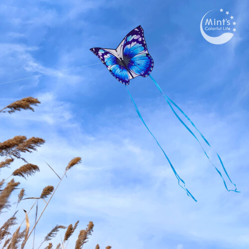 Kite Butterfly (azul) 1
