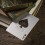 theory11 Monarch Playing Cards (Green) 4