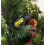 doTERRA doTERRA - Bergamot Essential Oil - 15 mL 5