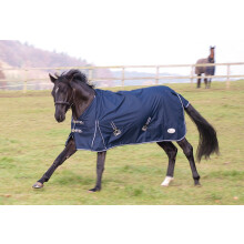 Rhinegold Unisex - 5/0 Rhinegold Torrent Outdoor Rug 5 0 Navy, Navy, UK