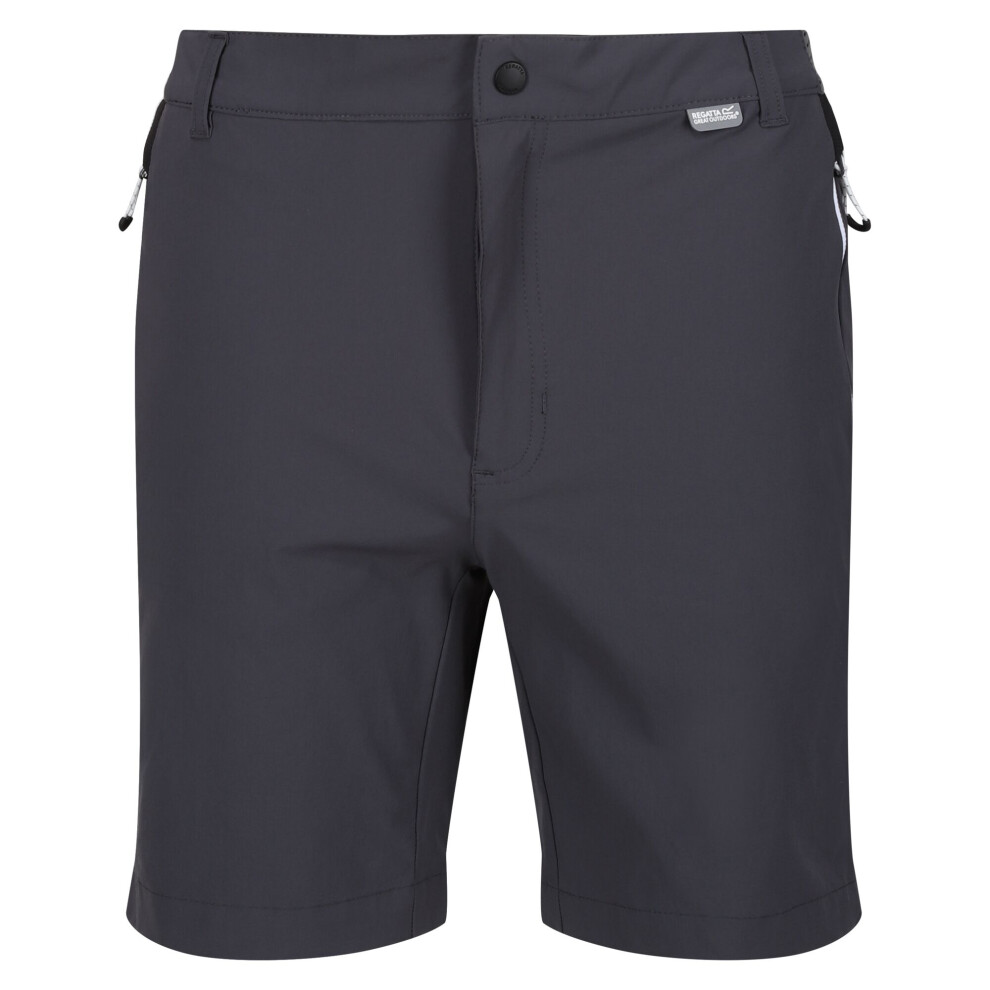 (44R, Seal Grey/Black) Regatta Mens Mountain II Shorts