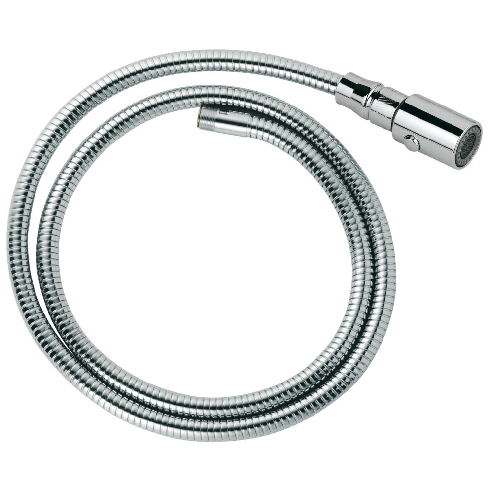 Grohe Replacement Part 46592000 Ladylux Pro Hose And Head