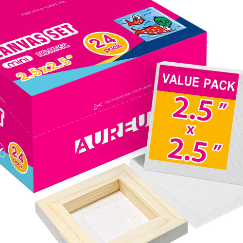 AUREUO Mini Τεντωμένος Καμβάς - 2.5 x 2.5 Ίντσες/24 Τεμάχια - Ιδανικό Σετ Δώρου για Παιδιά