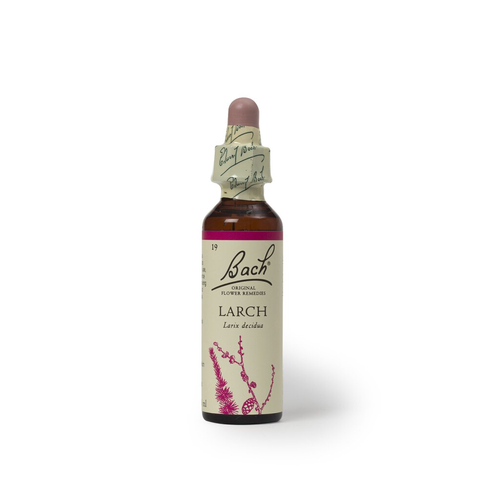 Bach Flower Remedies Larch 20 mL