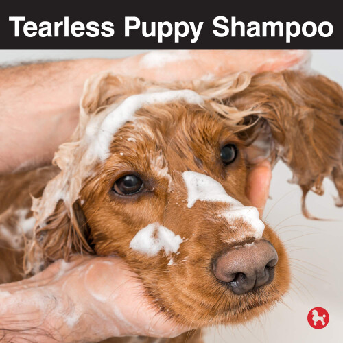 Shampooing sans Larmes pour Chiots, Pour Chiens 2