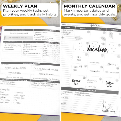Clever Fox Planner Daily PRO - Ημερήσιος Σχεδιαστής 8.5 x 11" A4 και Ημερολόγιο Ευγνωμοσύνης 2