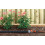 Gardena Gardena Soaker Hose Connection Set 5
