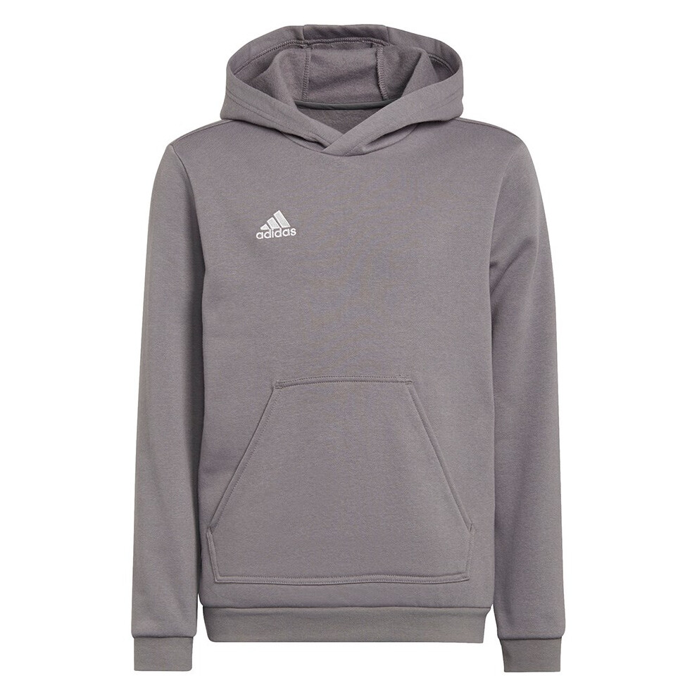 Sweatshirt for kids adidas Entrada 22 Hoody gray H57515 116cm