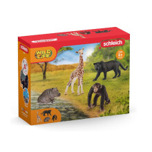 Schleich Wild Life, 4-teiliges Tier-Spielset, Safari-Tiere für Jungen und Mädchen 3-8 Jahre