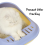 AllPetSolutions Cat Litter Tray with High Sides & Scoop, Grey 4