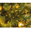 Christmas Cluster Lights Warm White 1512 LED Twinkle Multi Function 4