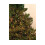 Christmas Cluster Lights Warm White 1512 LED Twinkle Multi Function 3