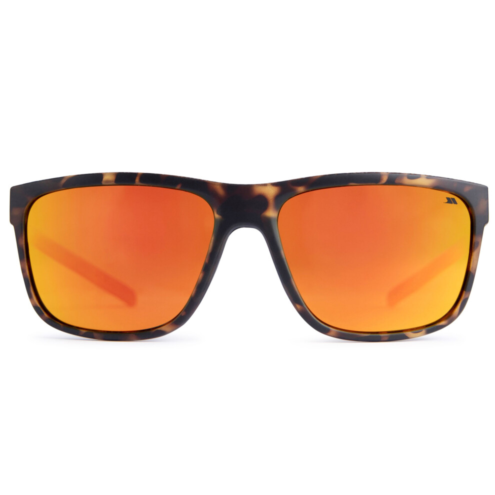 Bryn Tortoise Shell Sunglasses