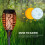LED Small Flame Solar Light Outdoor Garden (6 Pack), Torches Flame Effect 6