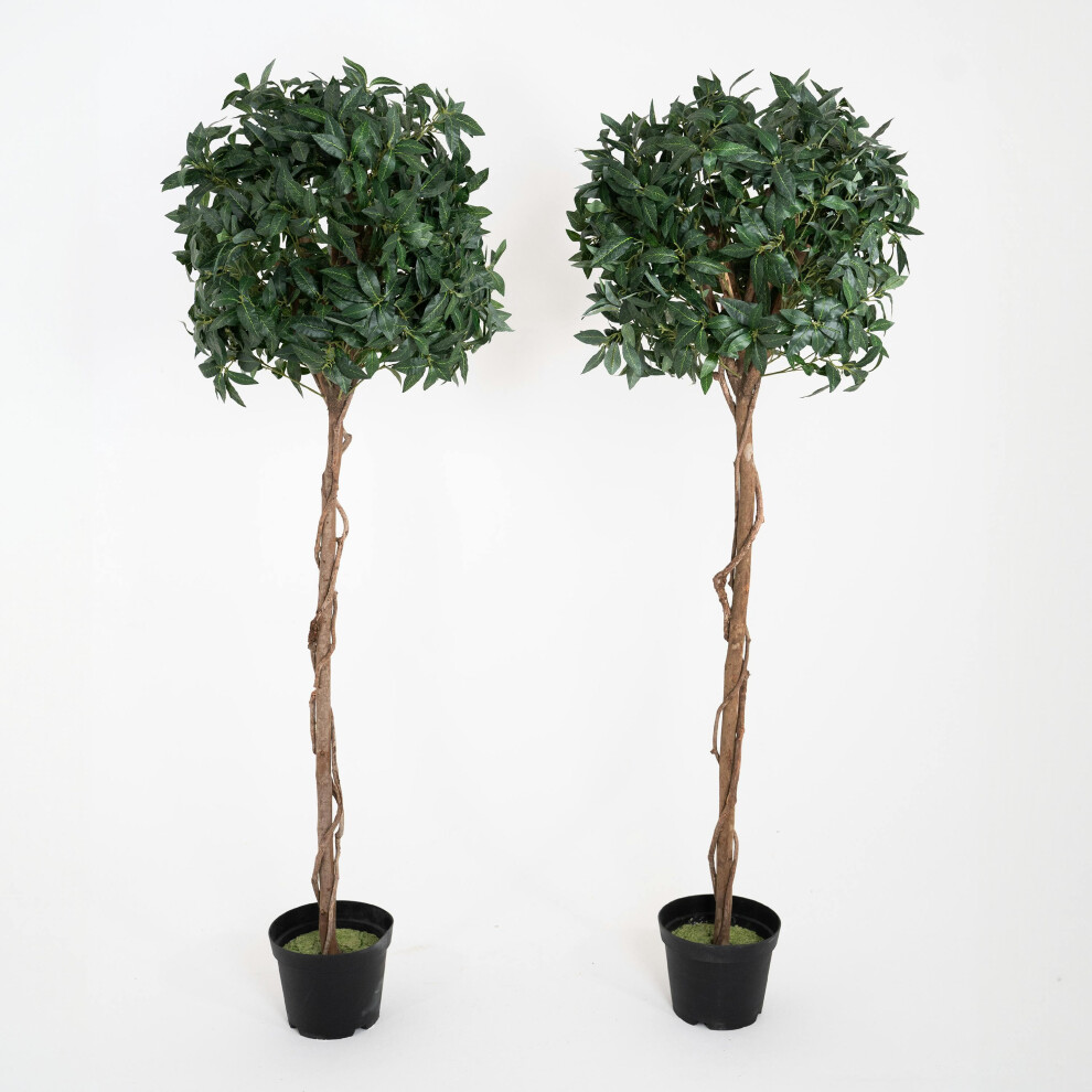 (180cm) Artificial Bay Topiary Tree - Pack of 2 UV Stable Outdoor Use - Blooming Artificial