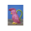 Polly the Pink Parrot Ceramic Decorative Jug | Milk or Cream Server 4