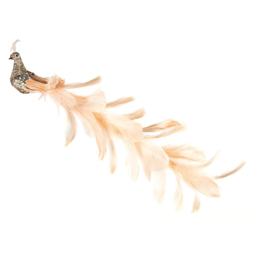 (38cm, Gold) Premier Peacock Christmas Decoration