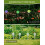 Solarize® 3 Pack Solar Cracked Glass Ball Lights 5