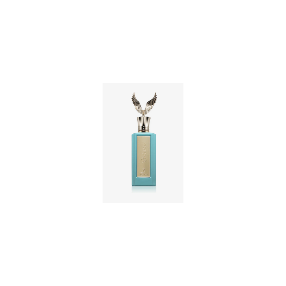 PARIS CORNER EMIR CELESTIAL (GANYMEDE MARC TWIST) EDP 100ML