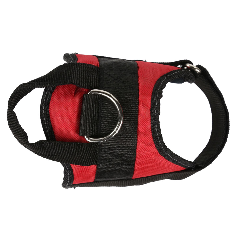 (M, Red) Regatta Reflective Dog Harness