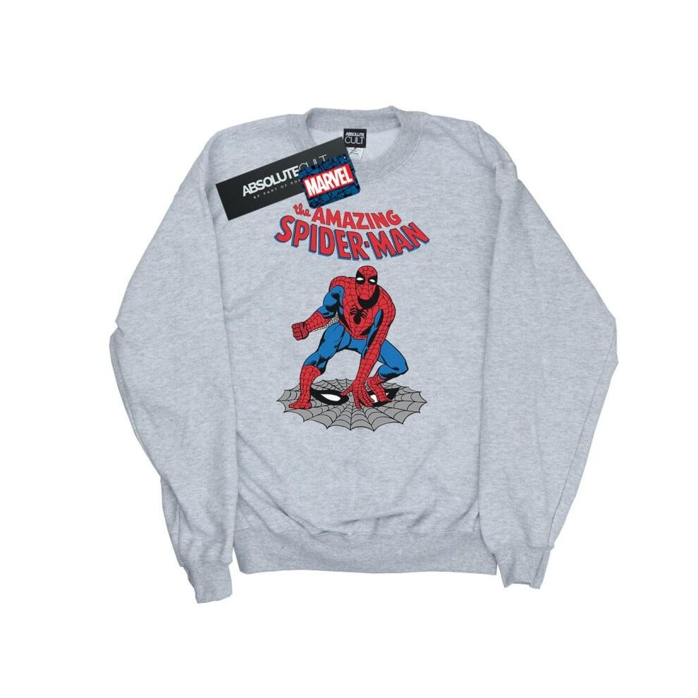 The Amazing Spider-Man Sweatshirt