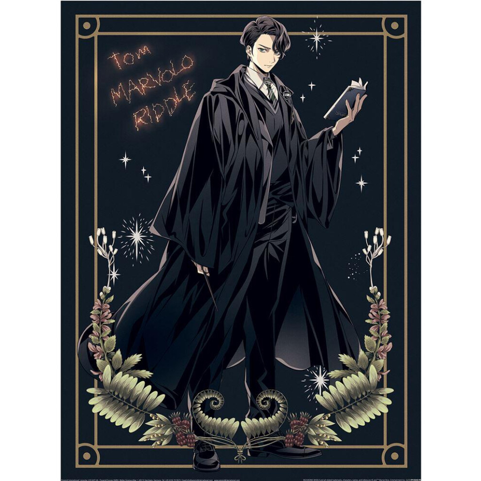 Harry Potter Tom Marvolo Riddle Print